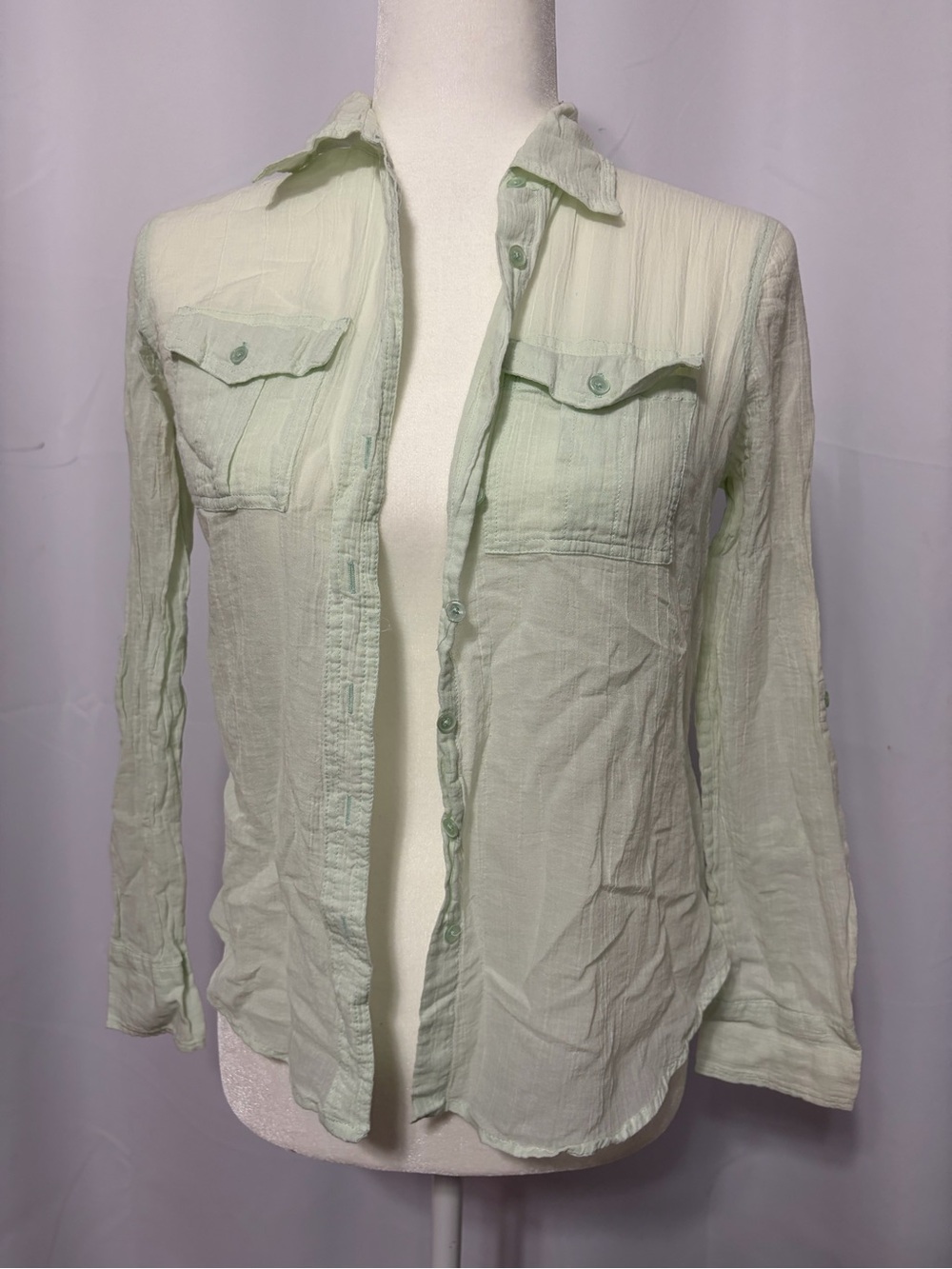 Talbots Pale Mint Green Button-Down Shirt